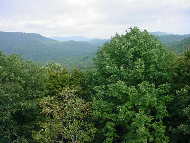 Appalachians Mountain range
