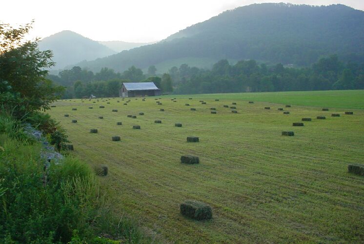 Erwin TN. fresh cut hay. 