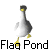 Flag Pond