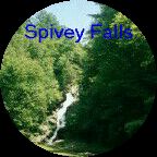 Click button for Spivey Falls,waterfall,Flagpond,TN. 