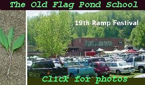 Click for the 19th Annual Flag Pond Ramp Festival Photos