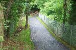 Enjoy Erwin Linear Trail. Pictures.