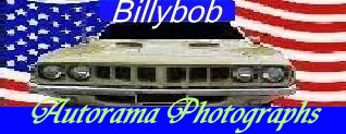 Click logo below for Billybob Autorama Photographs - Saturday, June 13, 2009
