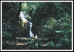 Upper Rock Creek Falls